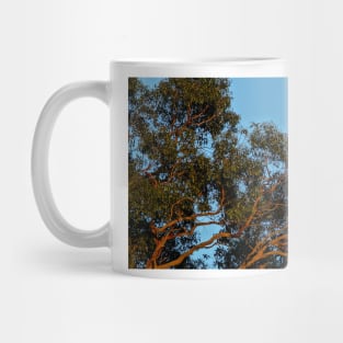 Reaching to the Moon - Adelaide Hills - Fleurieu Peninsula - Australia Mug